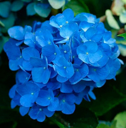 8820_2.jpg@webp